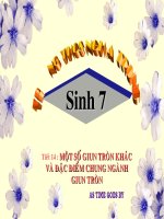 bai 14 mot so giun tron khac