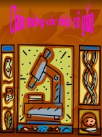 Tiết 41-Bài 34: Phát tán của quả và hạt