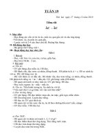 GIAO AN TUAN 19 SOAN NGANG 2 BUOI