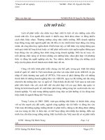 Hoạch định chiến lược kinh doanh tại Chi Nhánh Vosco Nha Trang