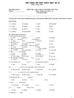 Ôn tập giữa HKII English 6