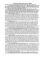 Loi binh dieu hanh 2010