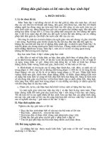 SKKNlop1(Moi)Giaitoanco loi van