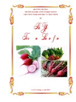 Tiểu luận công nghệ chế biến nông sản Tìm hiểu những hư hỏng có thể có với các loại rau tươi ăn thân và củ hướng xử lý tận dụng
