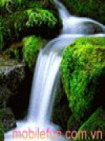 Tap doc Lop2 Kho bau