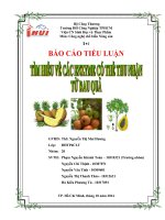 Tiểu luận Tìm hiểu về các enzyme có thể thu nhận từ rau quả