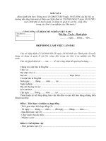 Các biểu mẫu quản lý TCCB