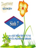 tiết 10 đặc điểm chung của ngành ruột khoang cực hay. Hùng