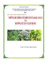 Những hư hỏng có thể có của rau ăn lá và hướng xử lý và tận dụng