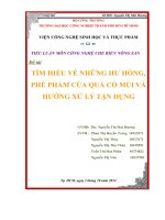 Tiểu luận công nghệ chế biến nông sản Tìm hiểu về những hư hỏng  phế phẩm của quả có múi và hướng xử lý tận dụng