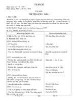 Tuần 25 - P Cúc 1B