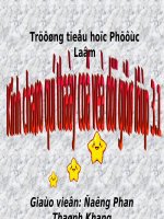 Lam lo hoa gan tuong