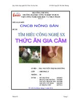 Tìm hiểu công nghệ sản xuất thức ăn gia cầm