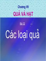các loại quả