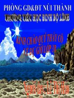 LTVC3-MRVT:Lễ hội. Dấu phẩy (Tuần 26)