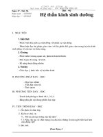 Bai 48. He than kinh sinh duong