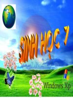 sinhhoc 7 t17.ppt