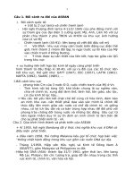 kinh tế các nước ASEAN