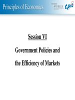 government policies and the efficiency of markets