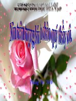 XE, DAN HINH CON GA CON