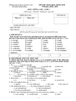 Đề thi HSG môn Tiếng Anh 9 - số 06