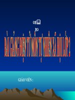 B 28 Một số loài vật sống trên cạn