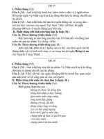 ôn thi đại học ngữ văn 1