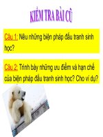 Bài 60 động vật quý hiếm