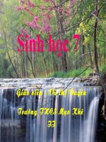 SỰ ĐA DẠNG VÀ ĐẶC ĐIỂM CHUNG CỦA LỚP CÁ