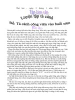 Tả cảnh công viên vào buổi sáng