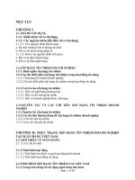 Ứng dụng xếp hạng tín nhiệm doanh nghiệp tại các ngân hàng thương mại trong quản trị rủi ro tín dụng