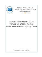 hạn chế rủi ro kinh doanh thẻ ghi nợ nội địa tại các ngân hàng thương mại việt nam