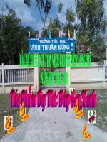 giới thiệu búp sen xanh