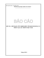 Xếp hạng tín nhiệm đối với khách hàng cá nhân tại các ngân hàng thương mại việt nam