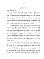 Luận văn thạc sỹ: Vượt rào cản kỹ thuật của EU đối với hàng công nghiệp xuất khẩu của Việt Nam