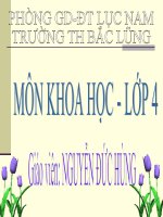 GIO NHE GIO MANH-BAO