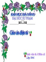 luc dan hoi- vat li 10