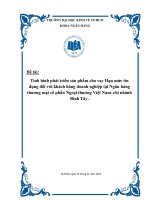 Tình hình phát triển sản phẩm cho vay hạn mức tín dụng đối với khách hàng doanh nghiệp tại ngân hàng thương mại cổ phần ngoại thương việt nam–chi nhánh bình tây