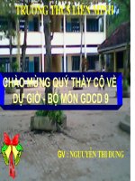 bai 15 vi pham phap luat