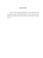 Luận văn thạc sỹ: Tăng cường kiểm tra trực tiếp đối với các Quỹ tín dụng nhân dân tại Chi nhánh Bảo hiểm tiền gửi Việt Nam khu vực Đông bắc bộ