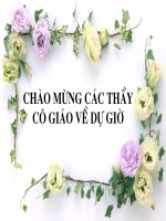Lich su8. Bai 28: trao luu cai cach duy tan o viet nam cuoi the ki 19
