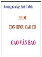 TNXH-LỚP 3-phim hươu cao cổ