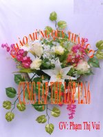 Hoi giang nhom Mon hoa 12-NghiaHung A