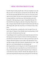 SỐNG VỚI TINH THẦN CỦA MẸ