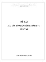 tài sản bảo đảm hình thành từ vốn vay