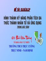 DỀ TAI NCKHUD 2010-2011 - TOAN 8