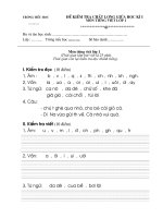 đề kiểm tra định kì lần 1 lớp 1 môn TV năm học 2010 - 2011