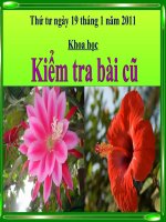 Sử dụng năng lựong gió và nước chảy