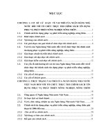 Thực trạng vai trò của ngân hàng nhà nước việt nam đối với tổ chức thực thi chính sách tín dụng phục vụ phát triển nông nghiệp, nông thôn