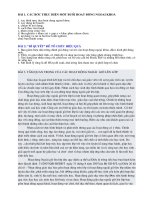 Cach thuc to chuc hoat dong ngoai khoa cho HSTHCS